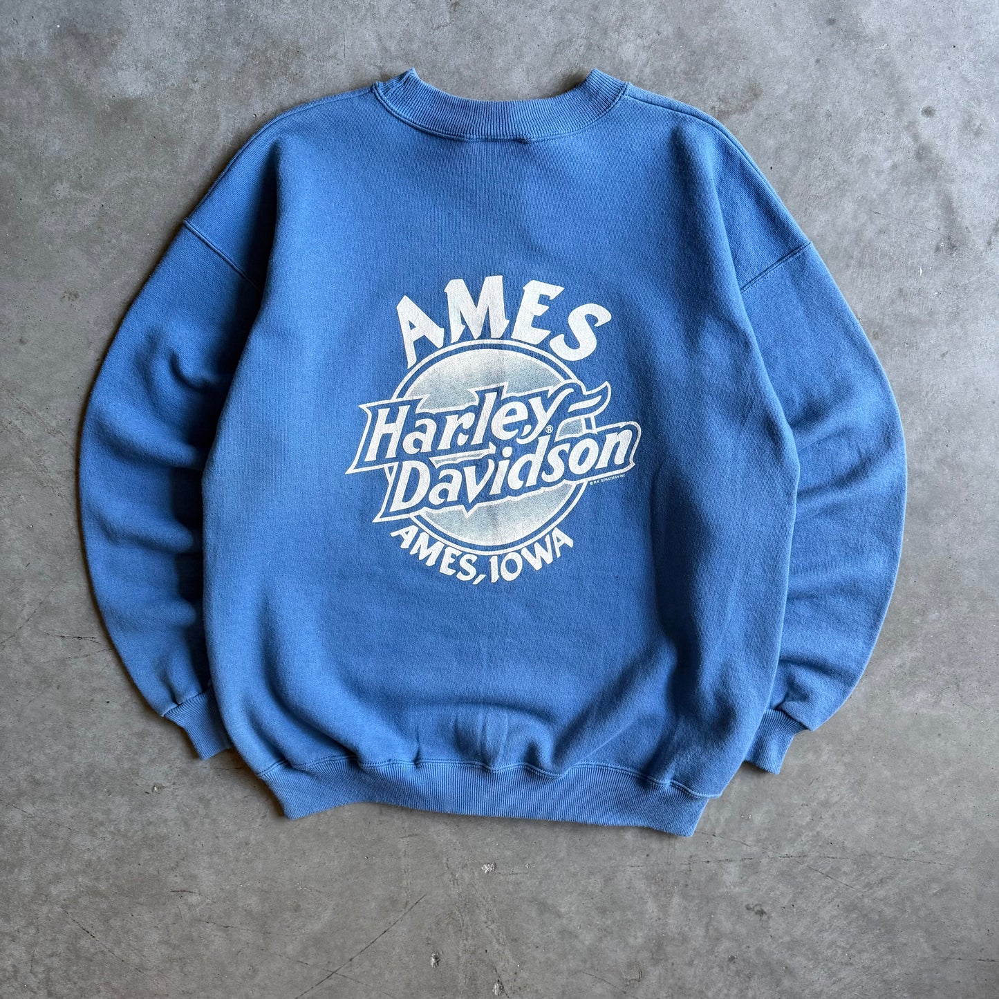 Vintage Ames Harley Davidson Blue Eagle Sweatshirt
