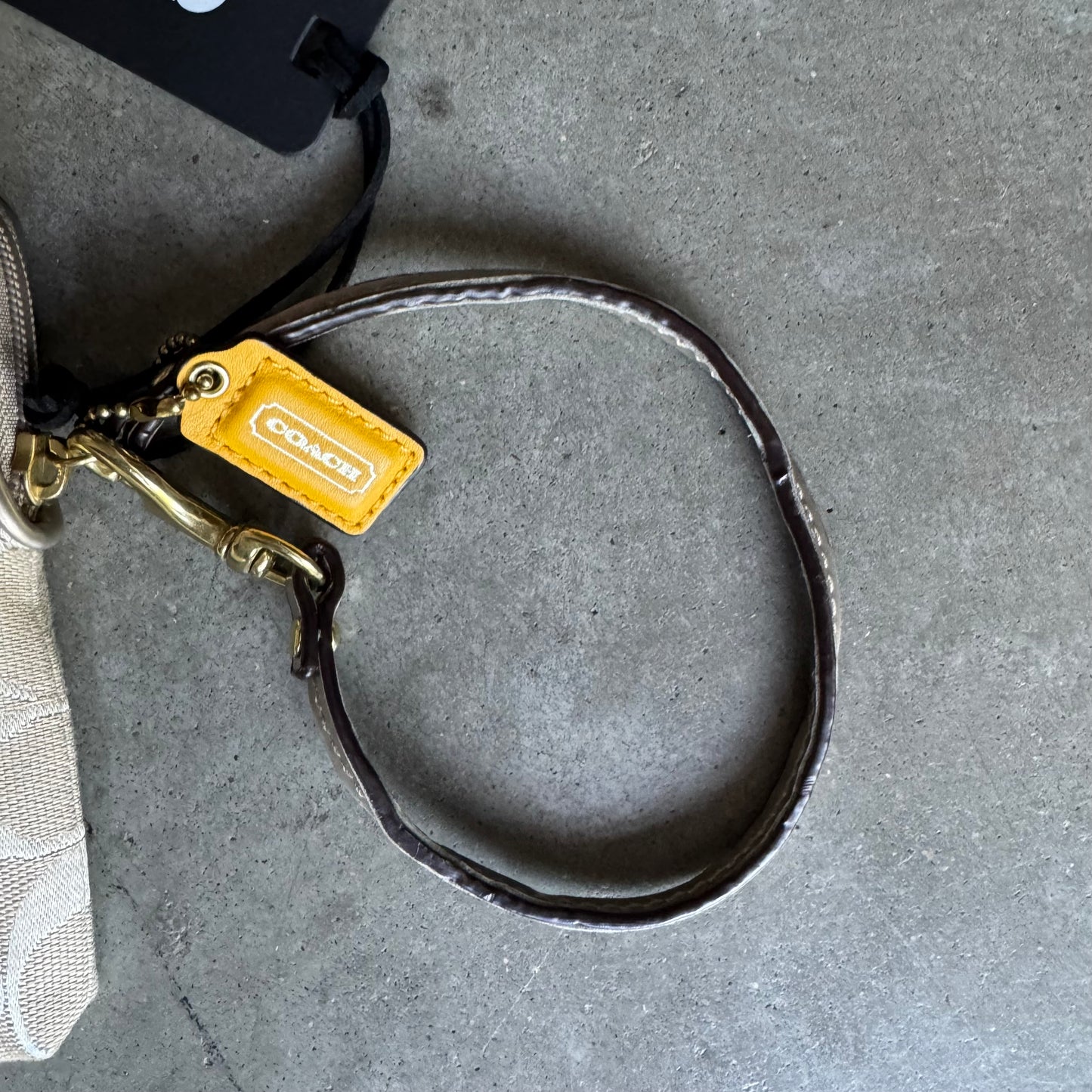 Y2K Coach Poppy Digital Camera Case