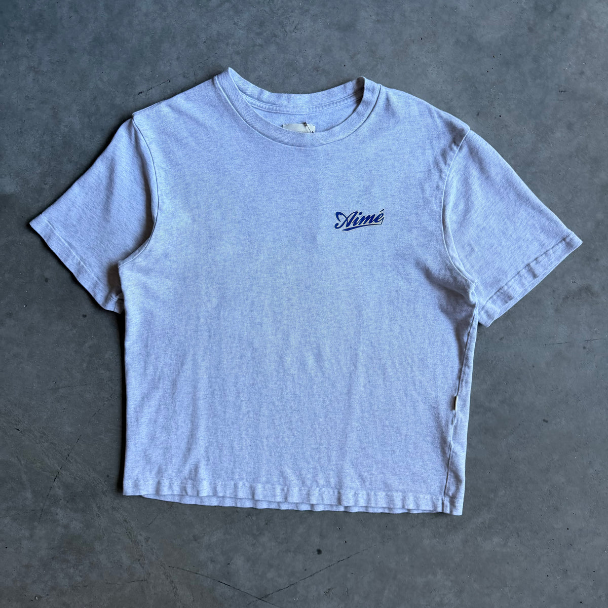 Aimé Leon Dore Script Logo Gray Tee
