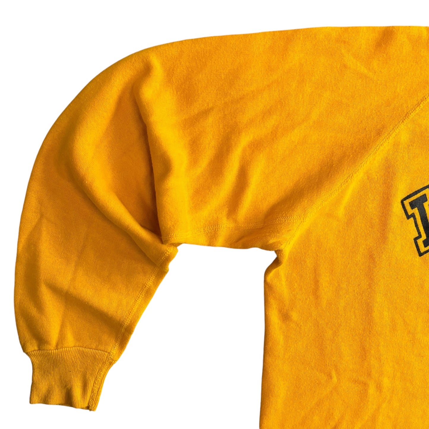 Vintage 80s Iowa Hawkeyes Flocked Crest Crewneck