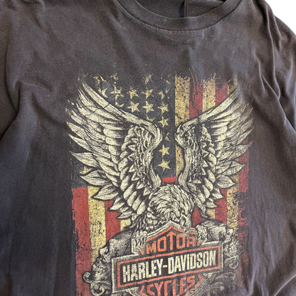 Y2K Harley Davidson Flag Eagle Tee