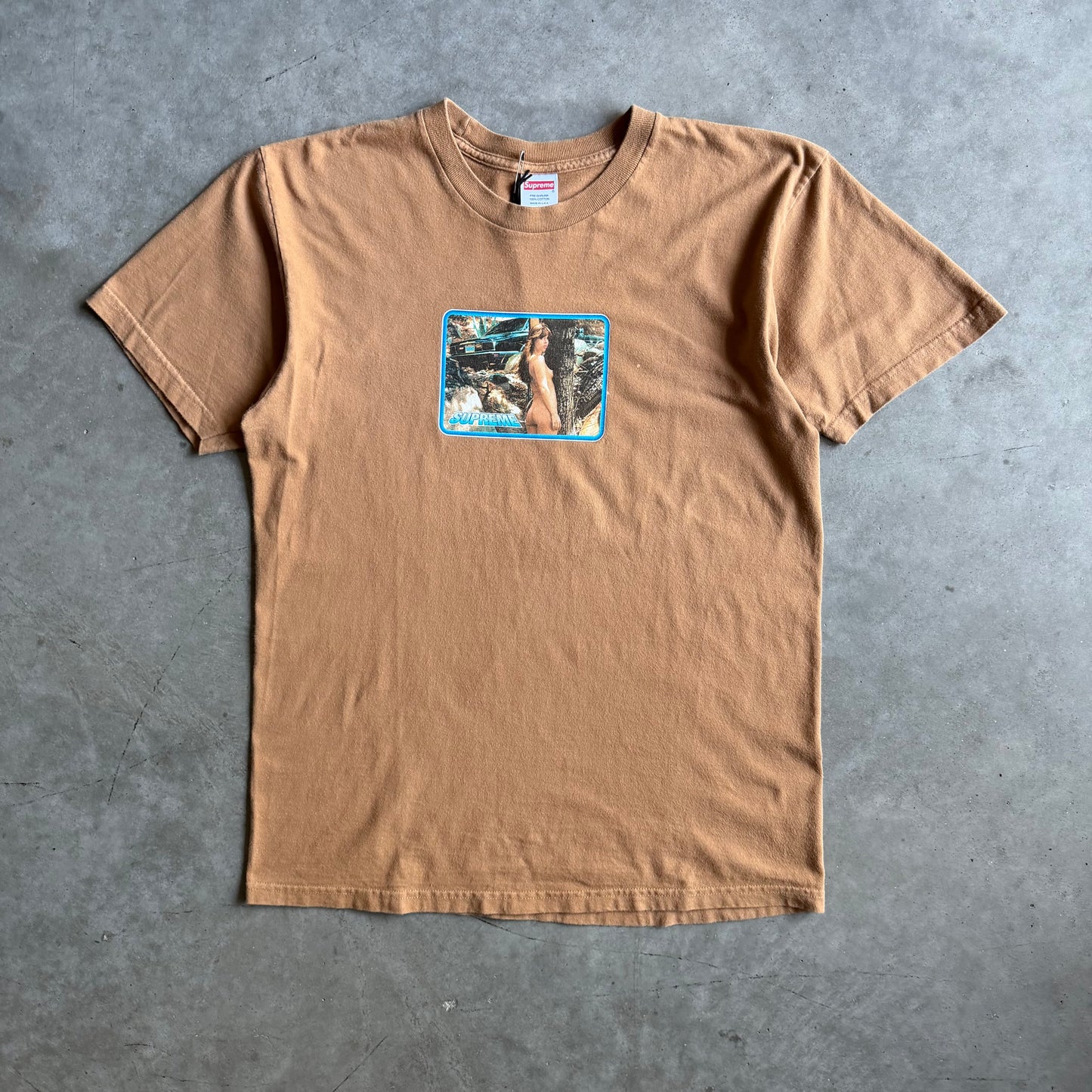 Supreme SS17 ‘Larry Clark Girl’ T Shirt Mocha Brown