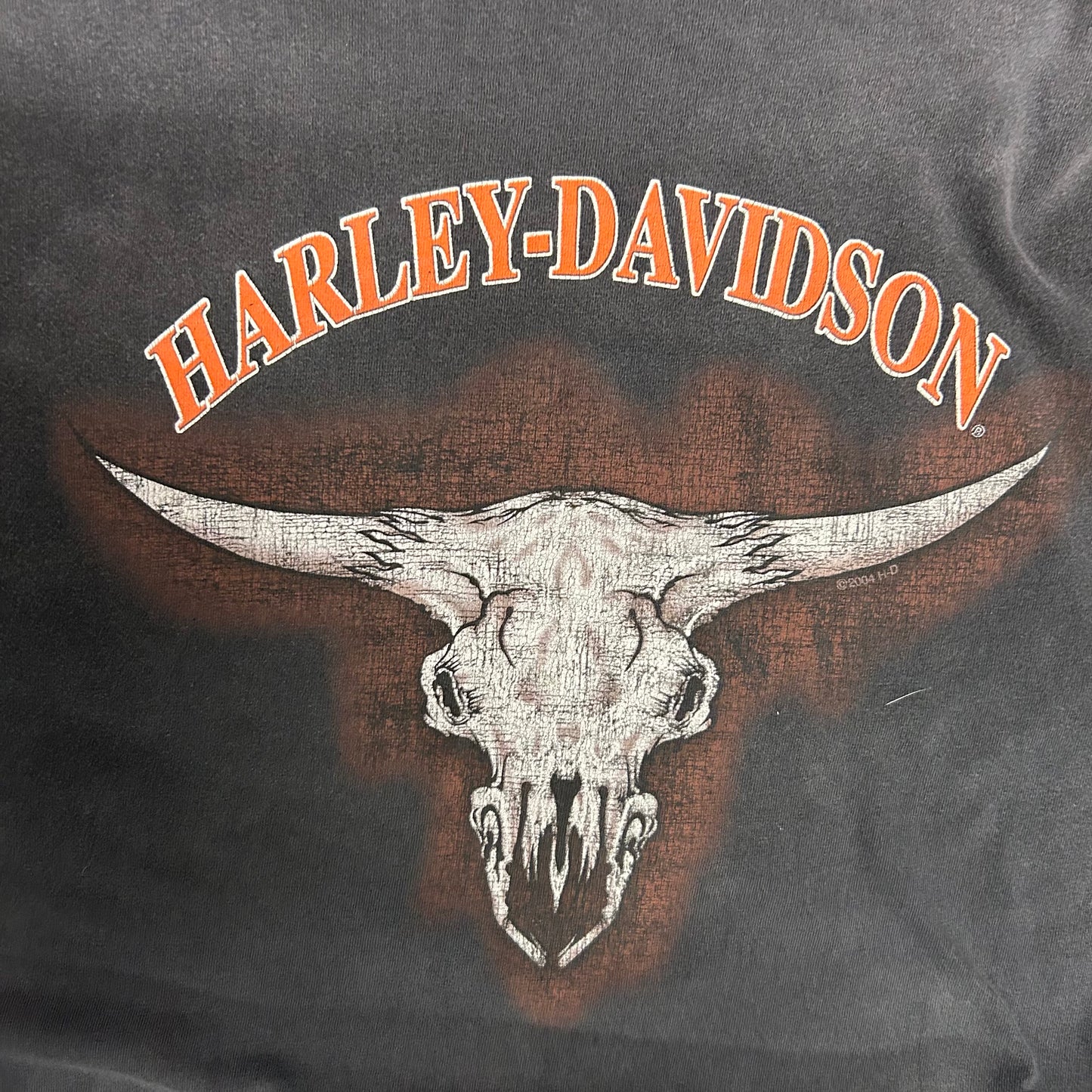Y2K Harley Davidson Bull Tee