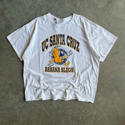 Vintage ‘92 UC Santa Cruz Banana Slugs Tee