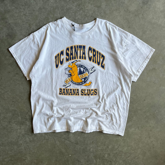 Vintage ‘92 UC Santa Cruz Banana Slugs Tee