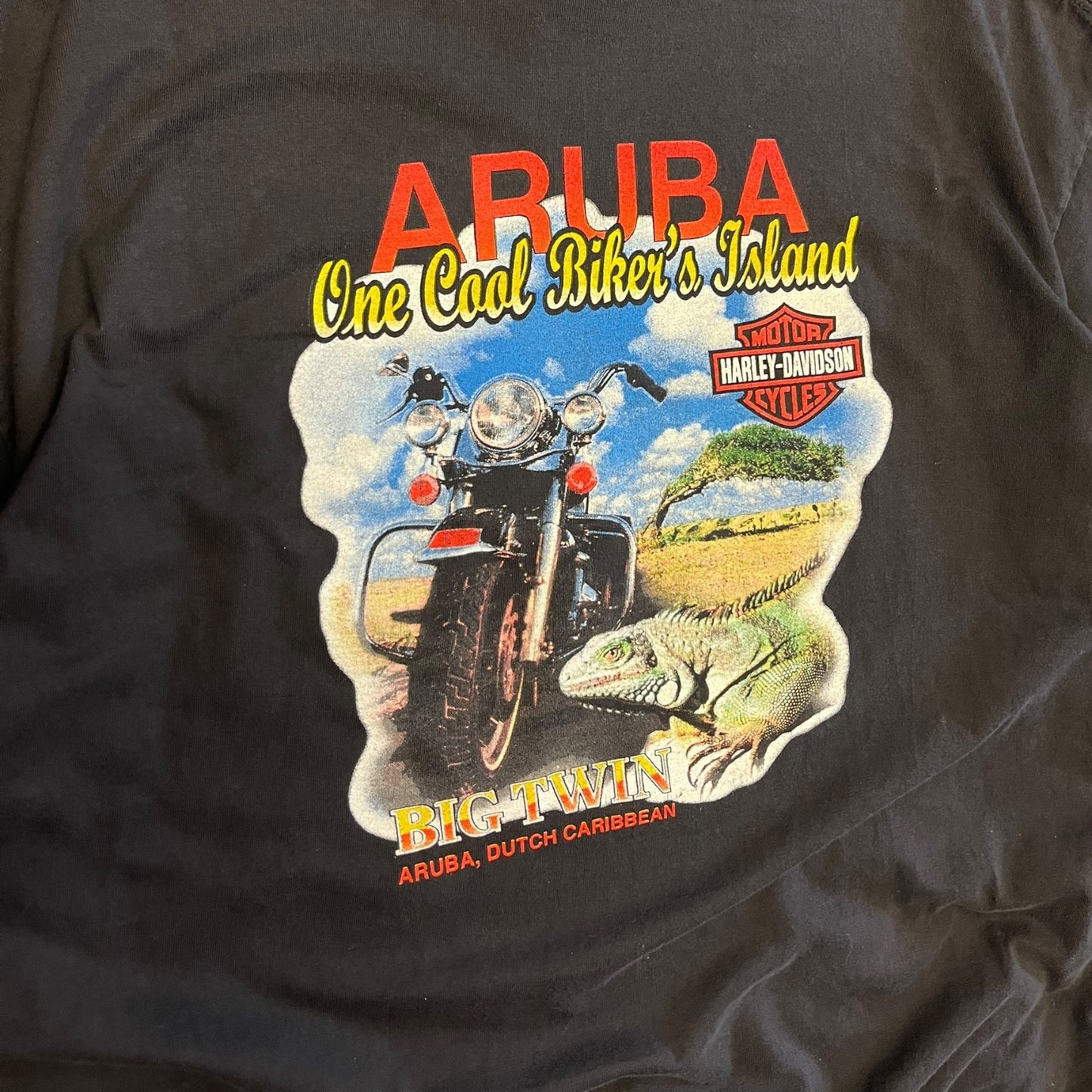 Y2K Harley Davidson Aruba Tee