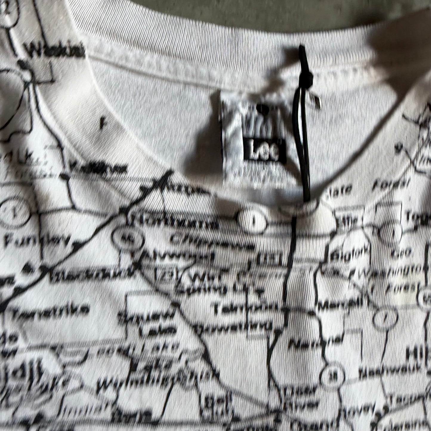 Y2K Minnesota Spell-Out & Map AOP Tee