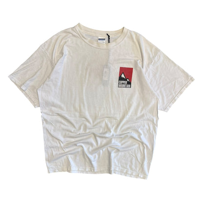 Y2K I Love Dumps Tee