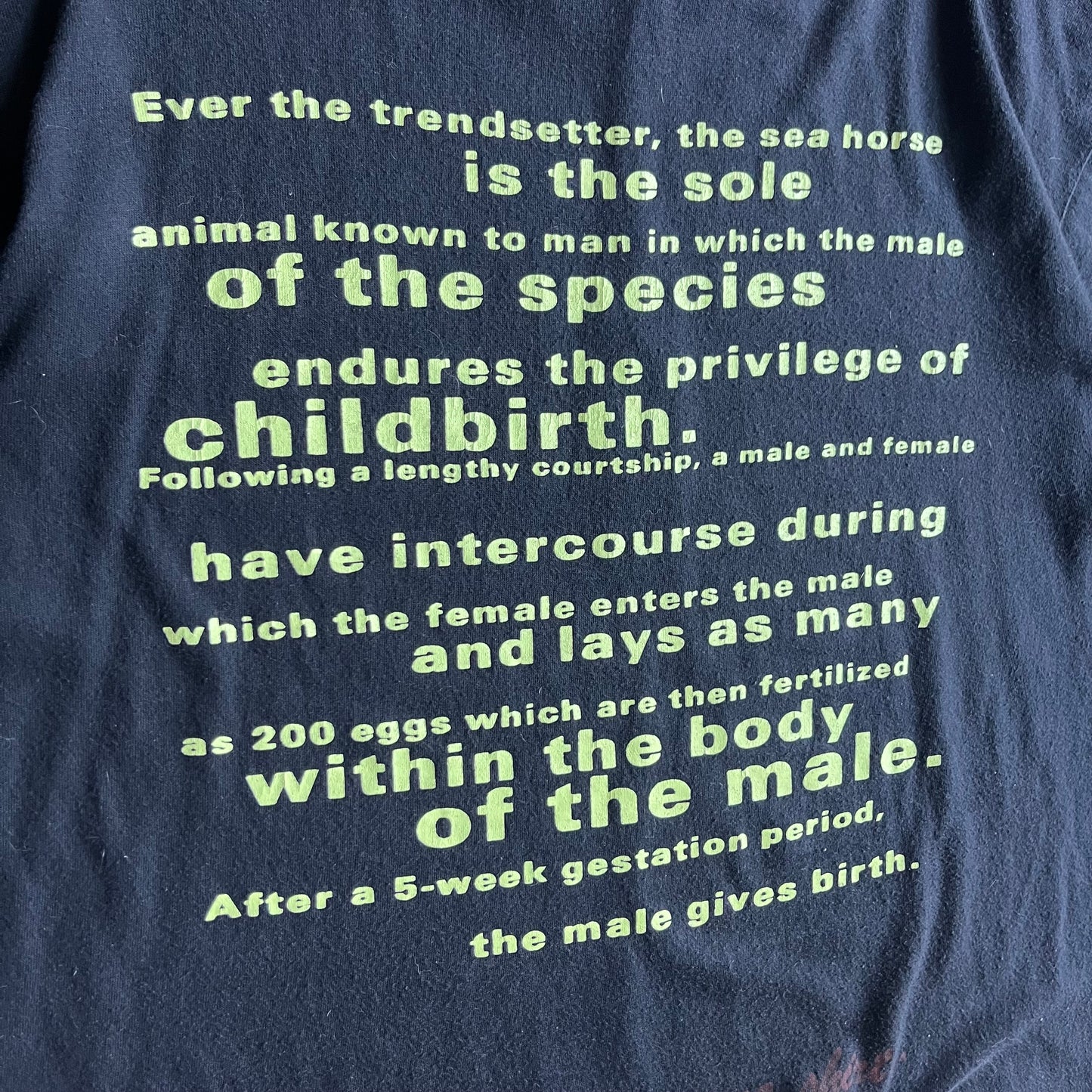 Vintage 1993 Nirvana Seahorse T Shirt