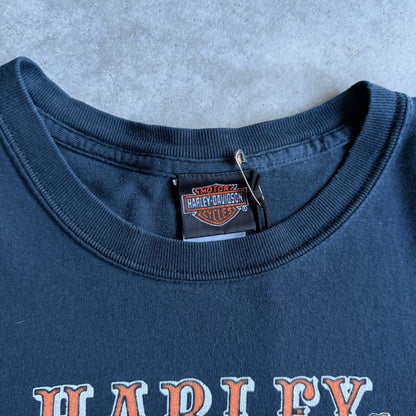 Vintage Thrashed Harley Davidson Eagle Australia T Shirt