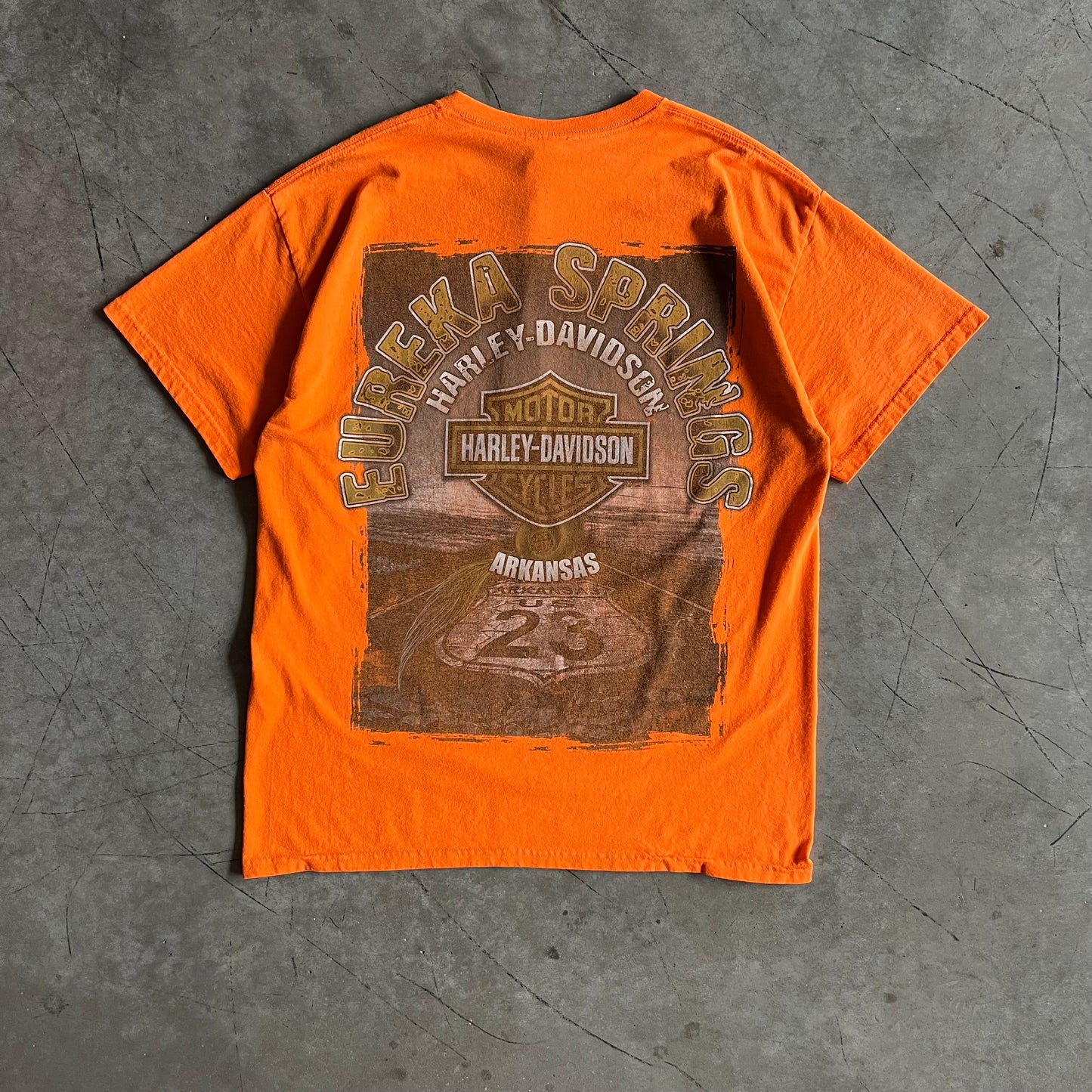 Y2K Harley Davidson “I Rode The Pig Trail” Tee