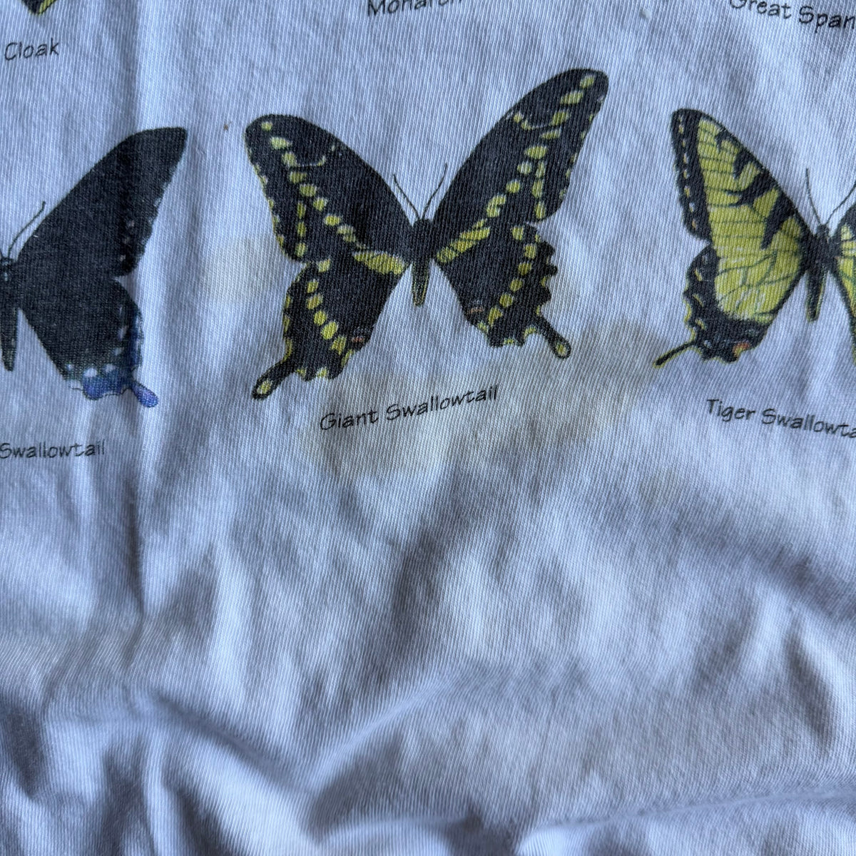 Vintage Field Guide To Butterflies Tee