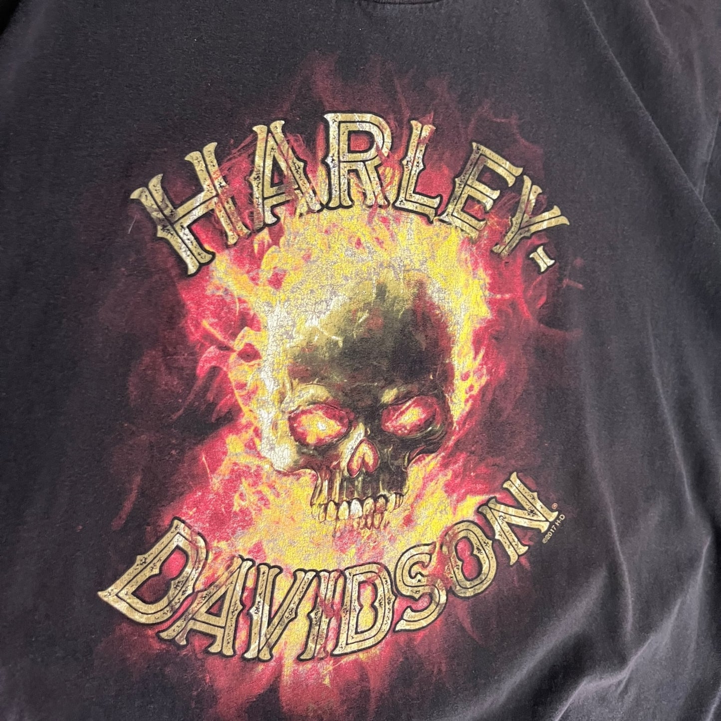 Y2K Chipp’s Harley Davidson Flaming Skull Tee