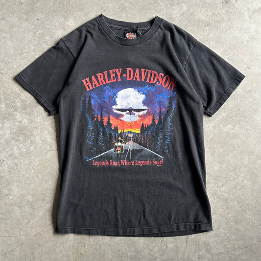 Vintage Harley Davidson ‘Legends Roar Where Legends Soar’ T Shirt