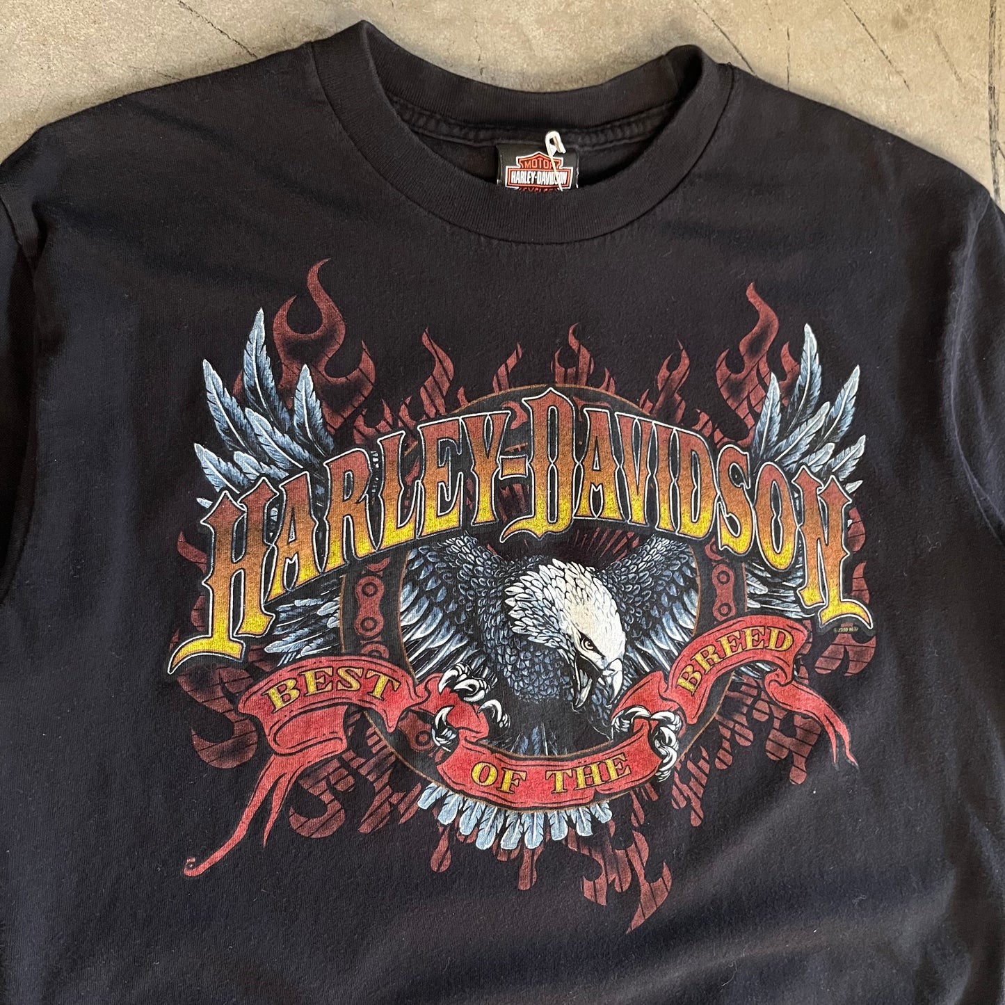 Y2K Harley Davidson Best Of The Breed Tee