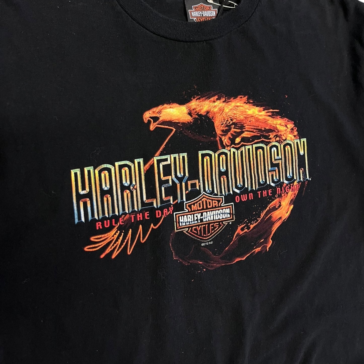 Y2K Harley Davidson Flaming Eagle Tee