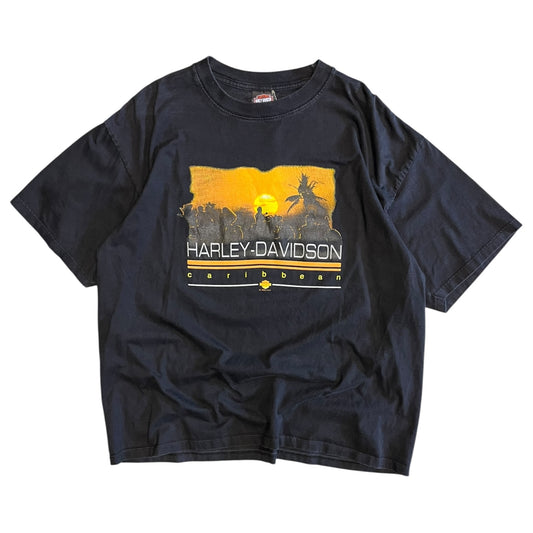 Y2K Harley Davidson Aruba Tee