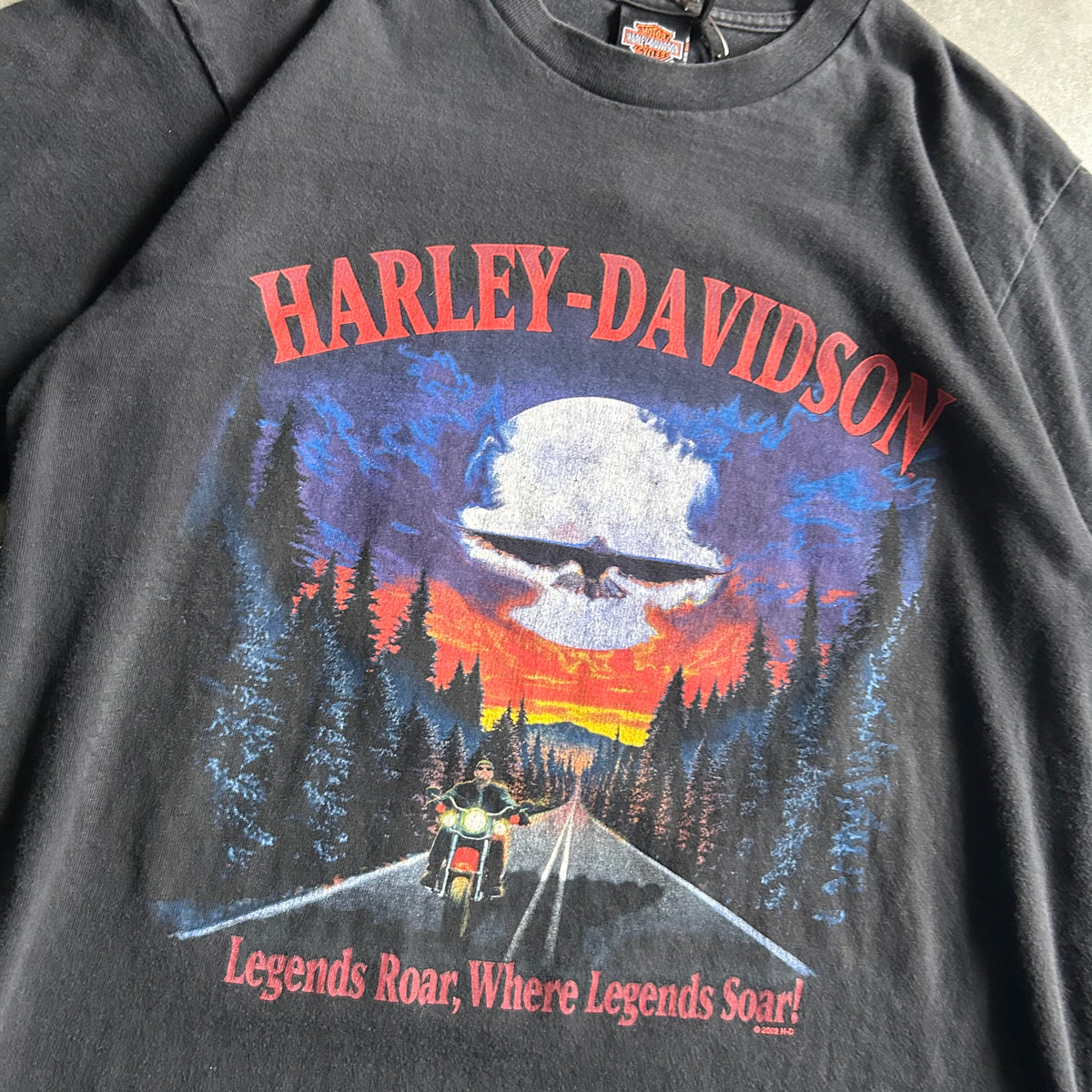 Vintage Harley Davidson ‘Legends Roar Where Legends Soar’ T Shirt