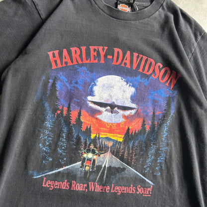 Vintage Harley Davidson ‘Legends Roar Where Legends Soar’ T Shirt