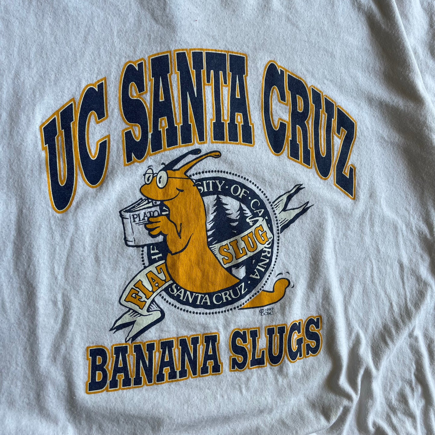 Vintage ‘92 UC Santa Cruz Banana Slugs Tee