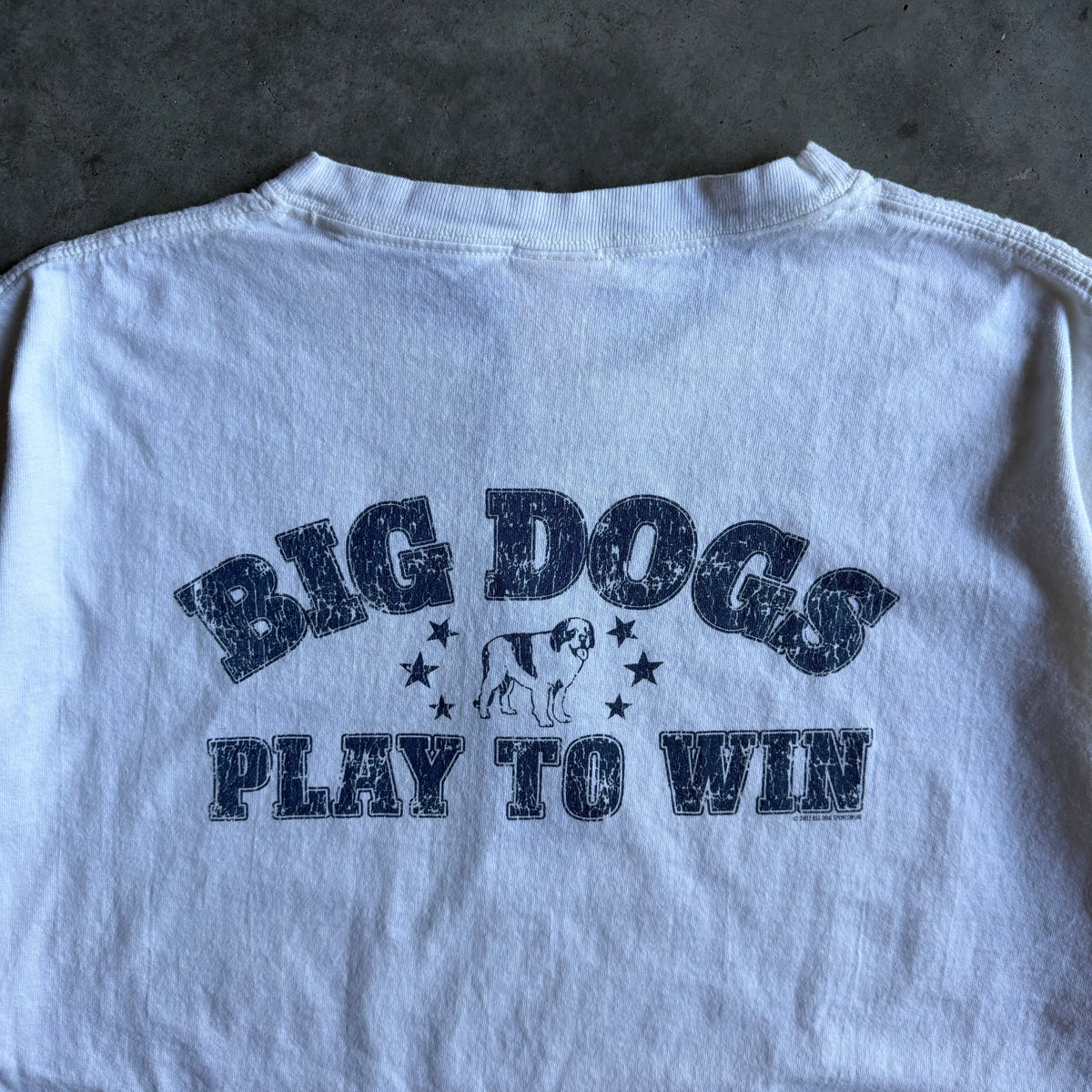 Y2K Big Dogs Chest Corner Logo Tee