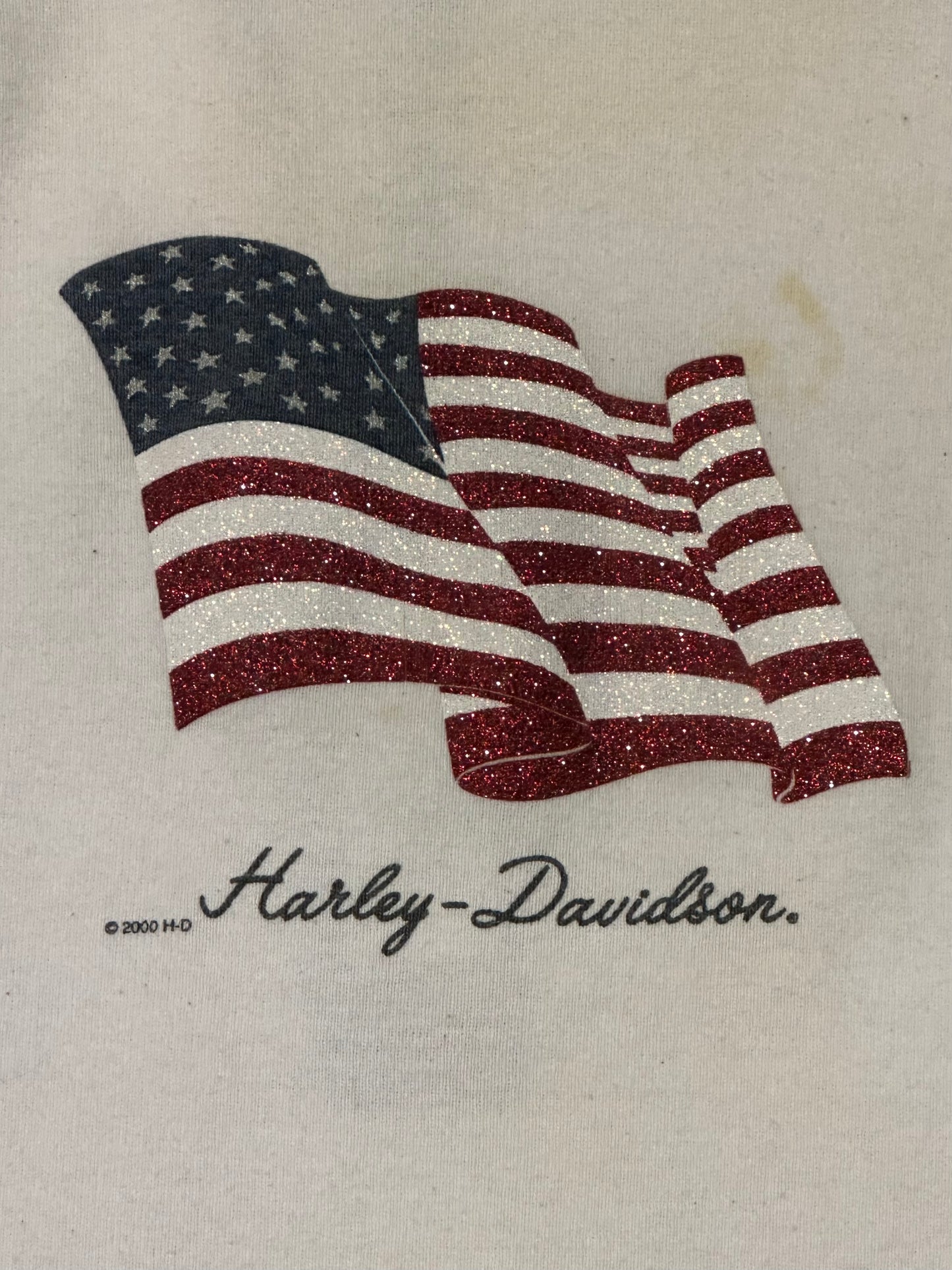 Women’s Y2K Harley Davidson Flag Baseball 3/4 Sleeve