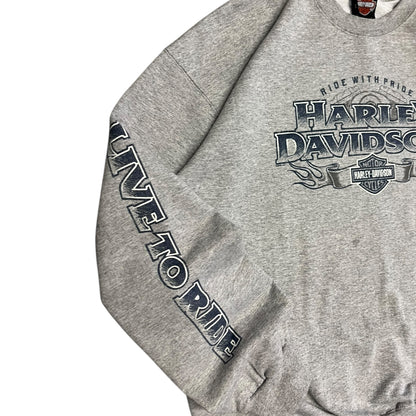 Y2K Harley Davidson Ride With Pride Grey Crewneck