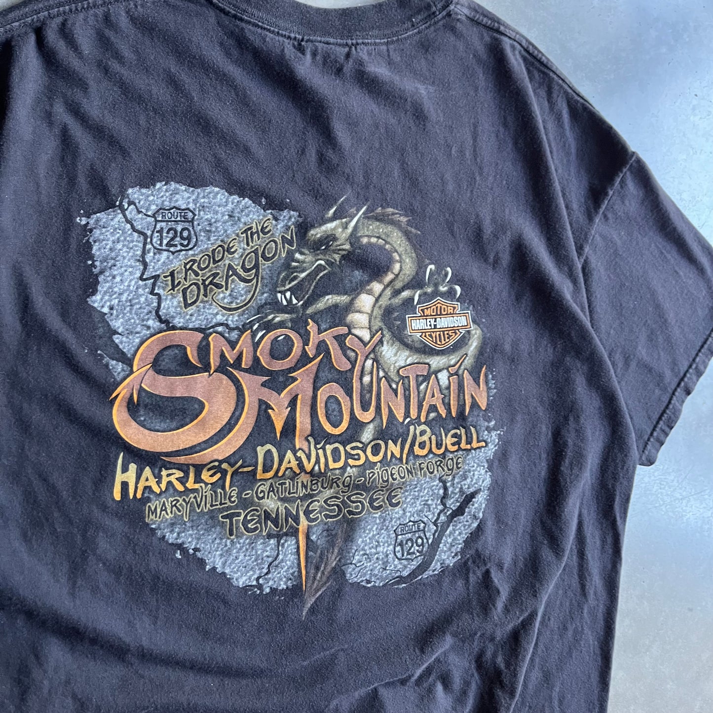 Y2K Harley Davidson Route 129 “I Rode The Dragon” Tee
