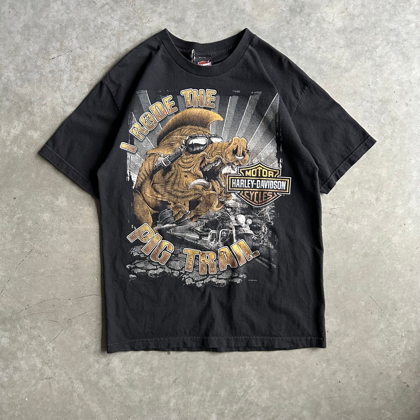 Y2K Harley Davidson ‘I Rode The Pig Trail’ T Shirt