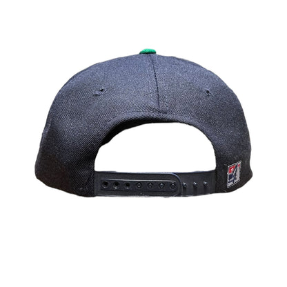 Vintage The Game Notre Dame Clover Hat